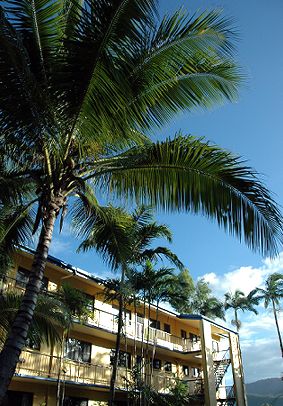 Palms At Trinity - Accommodation Gladstone 3