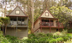 Great Ocean Road Cottages - Accommodation Gladstone 1