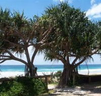Pacific Surf Absolute Beachfront Apartments - Accommodation Gladstone