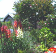 Hopfield Country Cottages - Accommodation Gladstone