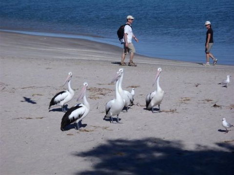 Kalbarri Accommodation Service - Accommodation Gladstone 5