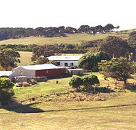 Sun Valley Eco Farm - Accommodation Gladstone