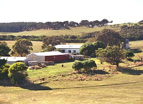Sun Valley Eco Farm - Accommodation Gladstone 0