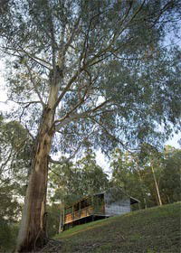 Piedmont VIC Accommodation Gladstone