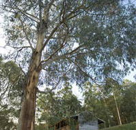 Outpost Restaurant - Accommodation Gladstone