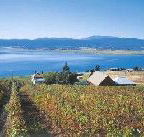 Marions Vineyard  - Accommodation Gladstone