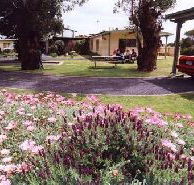Brigadoon Holiday Units - Accommodation Gladstone