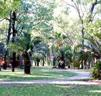 Carnarvon Gorge Wilderness Lodge - Accommodation Gladstone