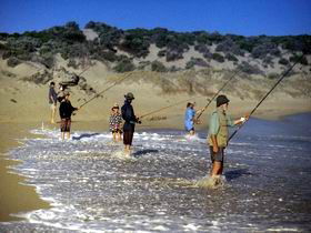Flippers Beachouse - Accommodation Gladstone 0
