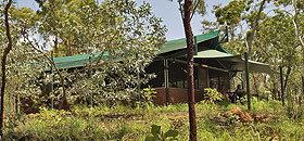 Arnhemland Barramundi Nature Lodge - Accommodation Gladstone 0