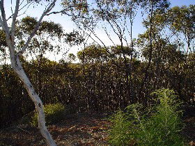 Nukarni ACT Accommodation Gladstone