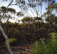 Lions Dryandra Woodlands Village - Accommodation Gladstone