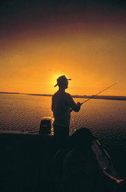 Point Stuart Wilderness Lodge - Accommodation Gladstone 0