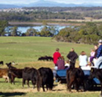 Bonny Brae - Accommodation Gladstone