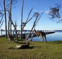 Waterfront Retreat At Wattle Point - Accommodation Gladstone
