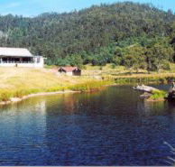Millybrook Lodge - Accommodation Gladstone