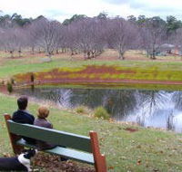 Chestnut Glade - Accommodation Gladstone