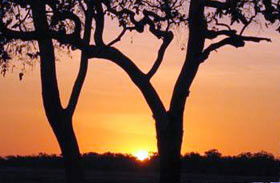 Coodardie Station Stay - Accommodation Gladstone 0