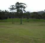 Mt White Lodge - Accommodation Gladstone
