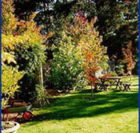 Peartree Cottage Leura - Accommodation Gladstone
