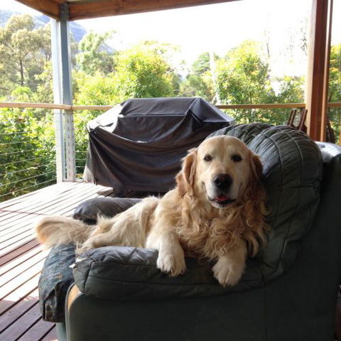 Ant's Halls Gap Holiday House - Accommodation Gladstone 7