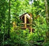 Fur'N'Feathers Rainforest Tree Houses - Accommodation Gladstone