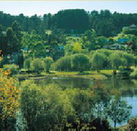 Possum Cottage On The Lake - Accommodation Gladstone