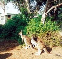 Avoca Dell Caravan Park - Accommodation Gladstone