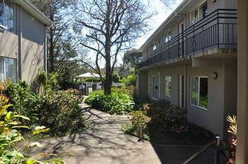 Buckingham International Serviced Apartments - Accommodation Gladstone 4