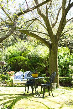 Adeline Bed And Breakfast - Accommodation Gladstone 7