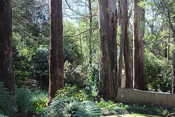 Adeline Bed And Breakfast - Accommodation Gladstone 8
