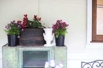 Adeline Bed And Breakfast - Accommodation Gladstone 22