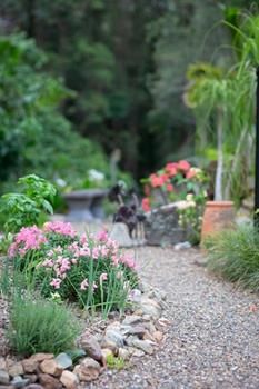 Noosa Valley Manor B&B Retreat - Accommodation Gladstone 12