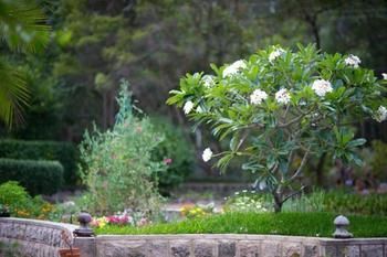 Noosa Valley Manor B&B Retreat - Accommodation Gladstone 13