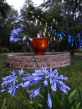 Noosa Valley Manor B&B Retreat - Accommodation Gladstone 34