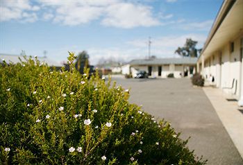 Merivale Motel - Accommodation Gladstone 1