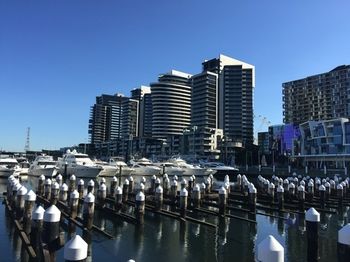 Apartments Melbourne Domain - Docklands - Accommodation Gladstone 4