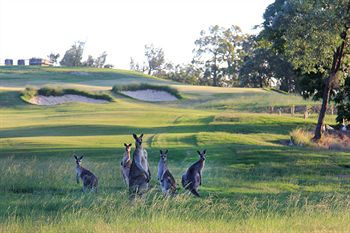 Riverside Oaks Golf Resort - Accommodation Gladstone 1