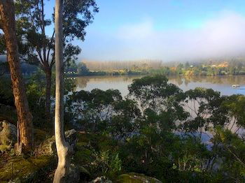 Ferndale - Accommodation Gladstone 9