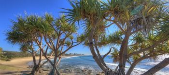 Alex Beach Cabins - Accommodation Gladstone 1
