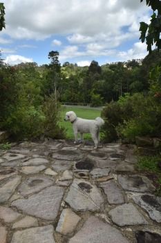 Coverdales B & B At Eumundi - Accommodation Gladstone 23