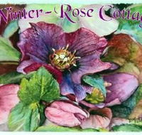 A Winter-rose Cottage BampB - Accommodation Gladstone