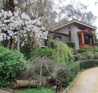 Cherryblossom BampB - Accommodation Gladstone