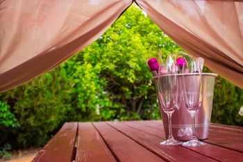 Shearing Shed Motor Inn - Accommodation Gladstone 51