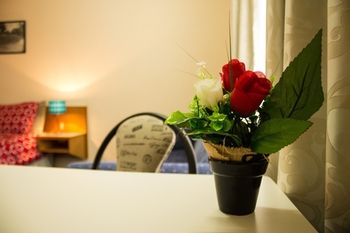 Shearing Shed Motor Inn - Accommodation Gladstone 54