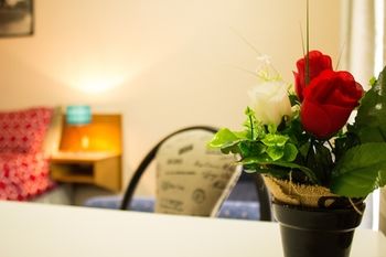 Shearing Shed Motor Inn - Accommodation Gladstone 67