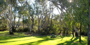 Tooleybuc Motel - Accommodation Gladstone 5