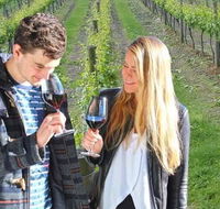 Valley Farm Vineyard Cottages - Accommodation Gladstone
