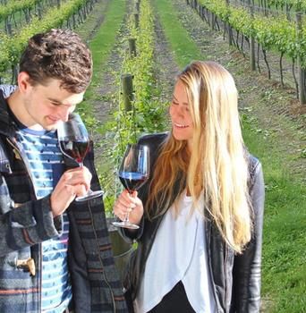 Valley Farm Vineyard Cottages - Accommodation Gladstone 0