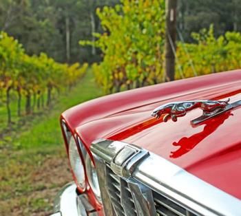 Valley Farm Vineyard Cottages - Accommodation Gladstone 1